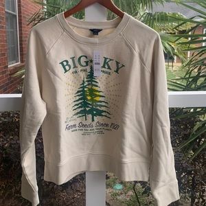 J. Crew Big Sky sweatshirt in 100% cotton terry